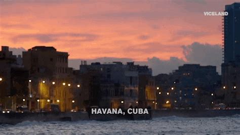 havana ginger gif